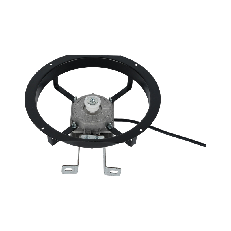 Brida de motor YZF